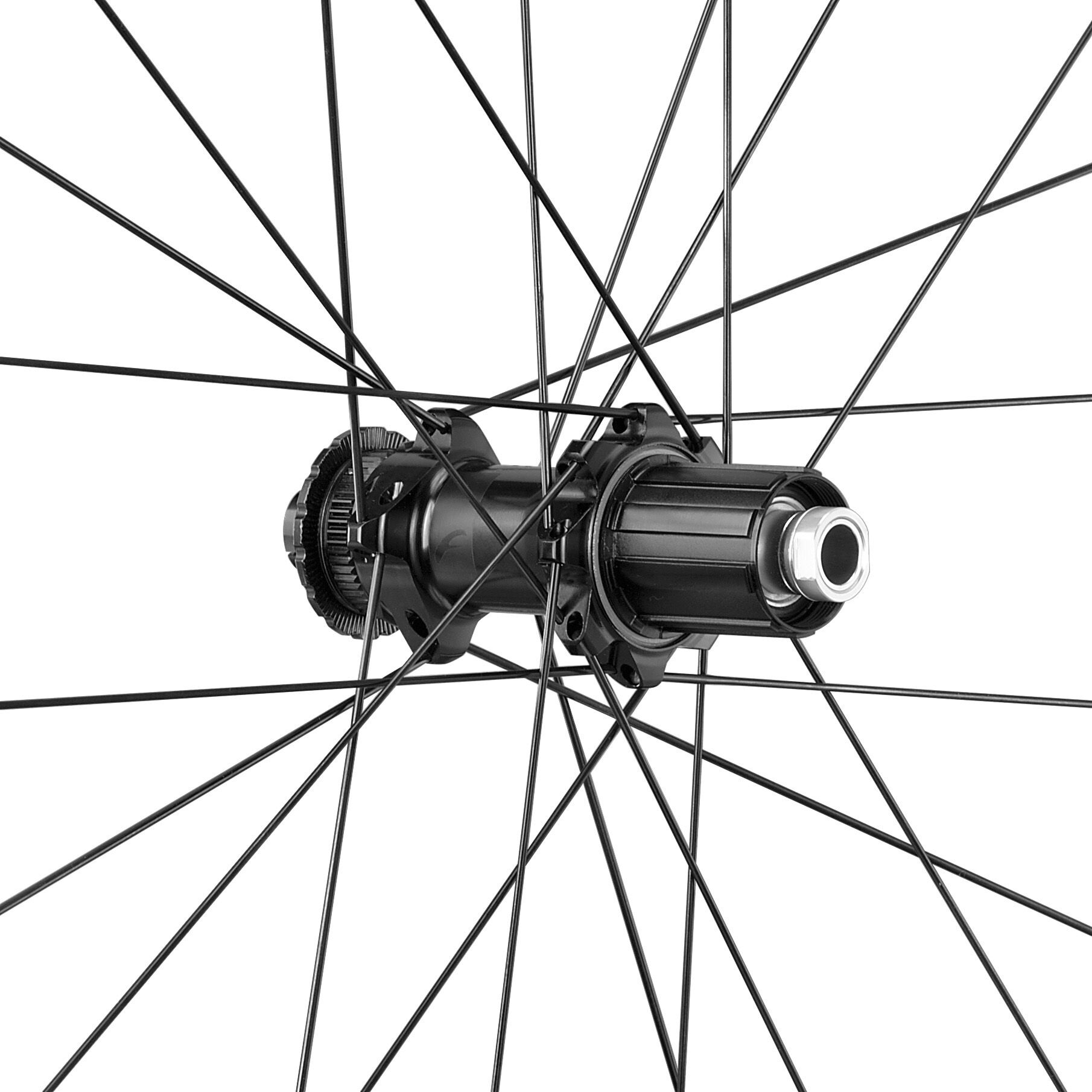 SET ROTI FULCRUM SONIQ 42 2-WAYF C25 DISC AFS 28" Shimano Micro Spline [4]