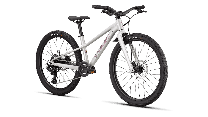Copii BICICLETA SPECIALIZED RIPROCK 24 - Gloss Dolomite Meta