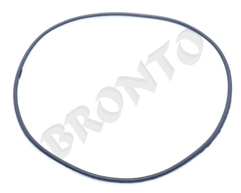 Bronto Inel-o-ring carcasa pompa bronto qgz50-30 11.023.001.9062) 40019-50
