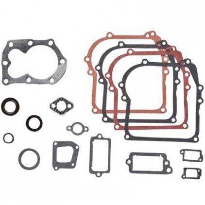 Set garnituri briggs 3.5 3.75 4 5 hp 300 450 500 550 series classic i/c quattro snow sprint etc  us-141-002  ca 298989 590777