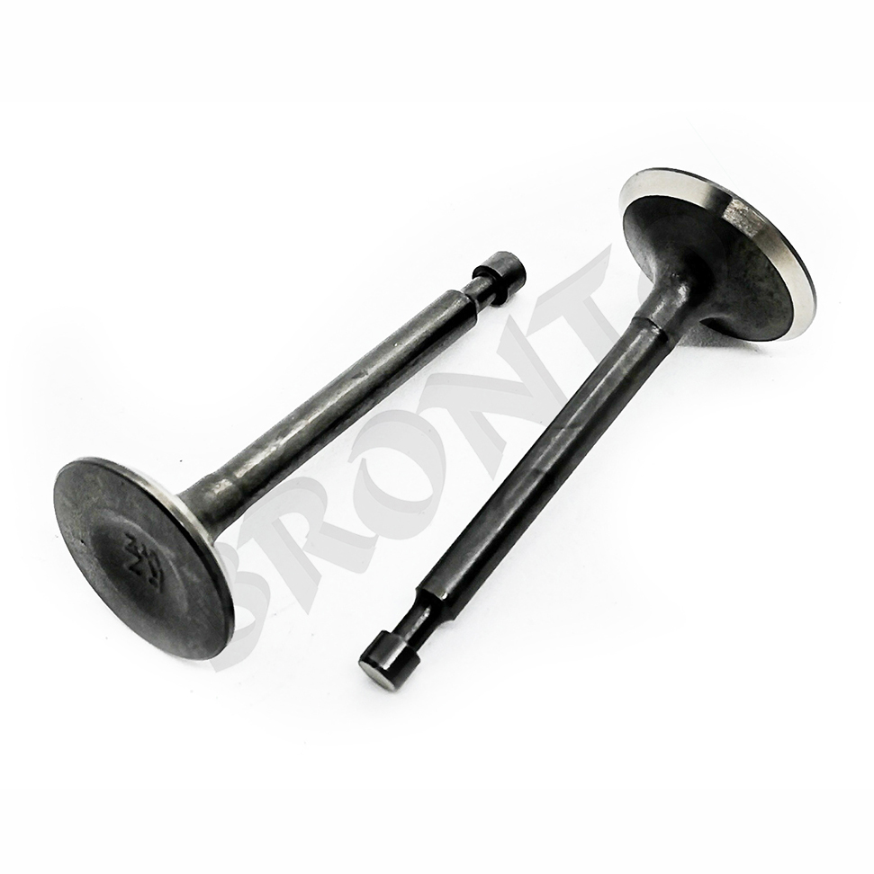 MTD piese Set supape mtd ohv 1p70c0a fh fha fw fwa lh mh rh rha th wh wha whb, 2p70mhb mhc mhd, 5p70m0 m0a mh mha mhb etc