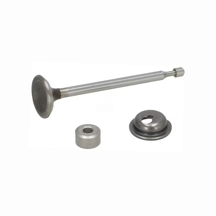 Briggs&Stratton Supapa evacuare briggs & stratton 450e 500e 550e 575ex 625e-ohv etc  590531  cu siguranta 590528 pastila 590533