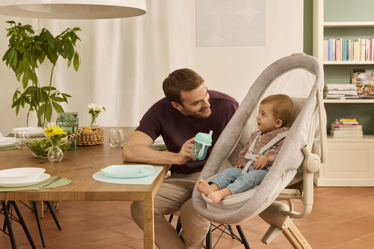 Cosulet multifunctional 4 in 1 Chicco Baby Hug Armonia