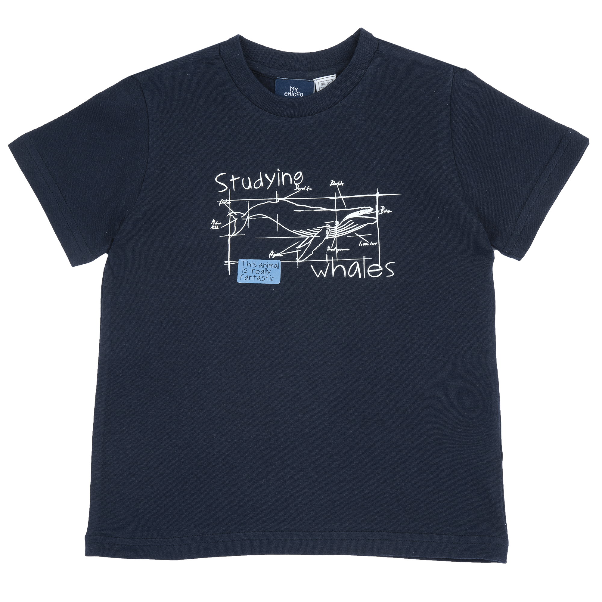 Tricou copii Chicco, 11845-68MC