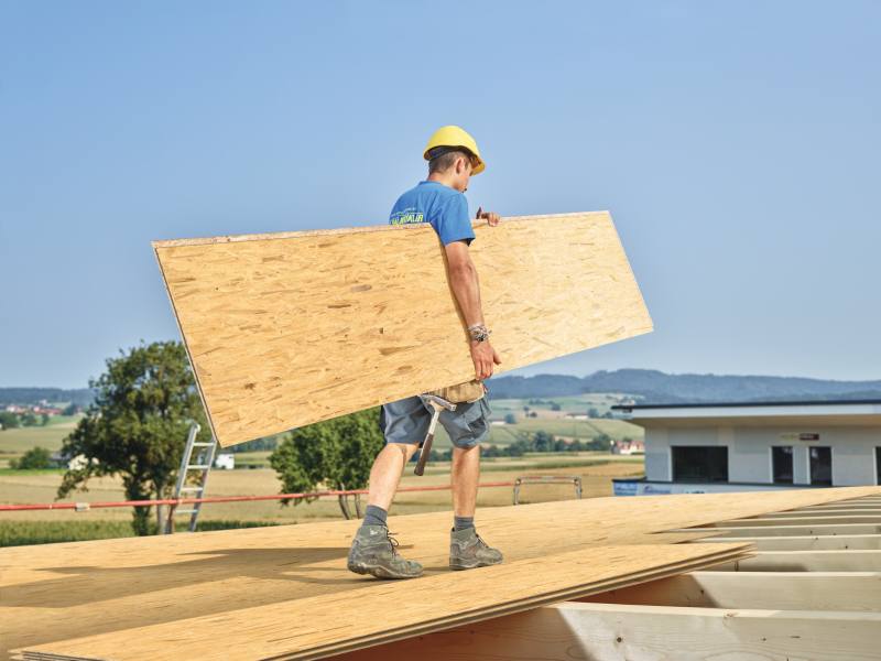 Placa pentru acoperis Roofing Board, 12 mm