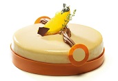 Tort de ciocolata Zeylon Chocovic si mandarine