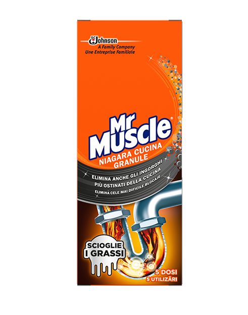 Detergenti profesionali - MR MUSCLE NIAGARA GRANULE 250 G, deterlife.ro