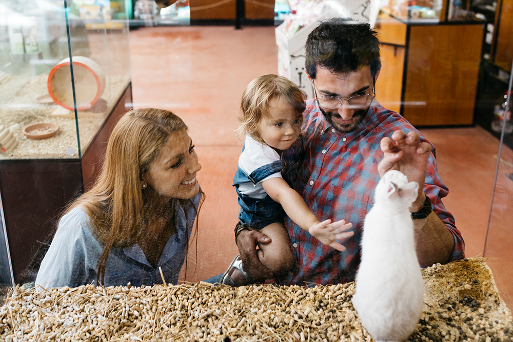Alegerea animalului potrivit pentru familia ta