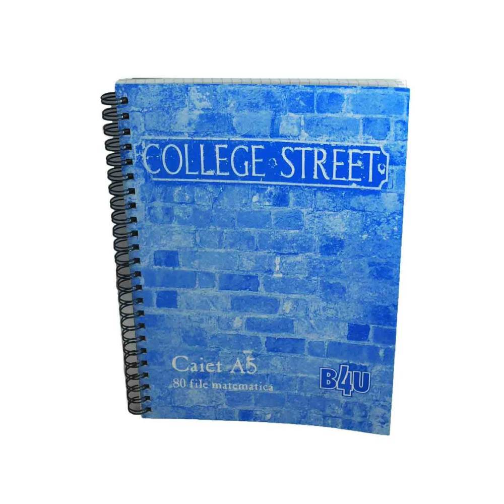 vertical file holders Bloc notes a5, 50 file arc dublu matematica