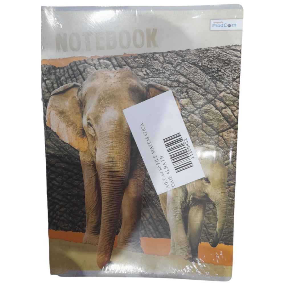Caiet a4 80 file matematica foaie alba fb