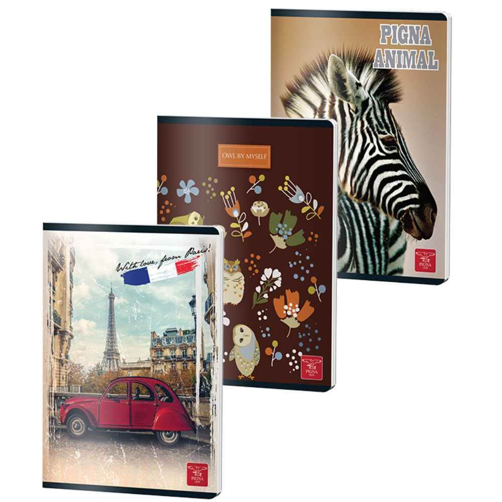 vertical file holders Caiet a5 48 file hartie alba matematica capsat coperta lucioasa pigna