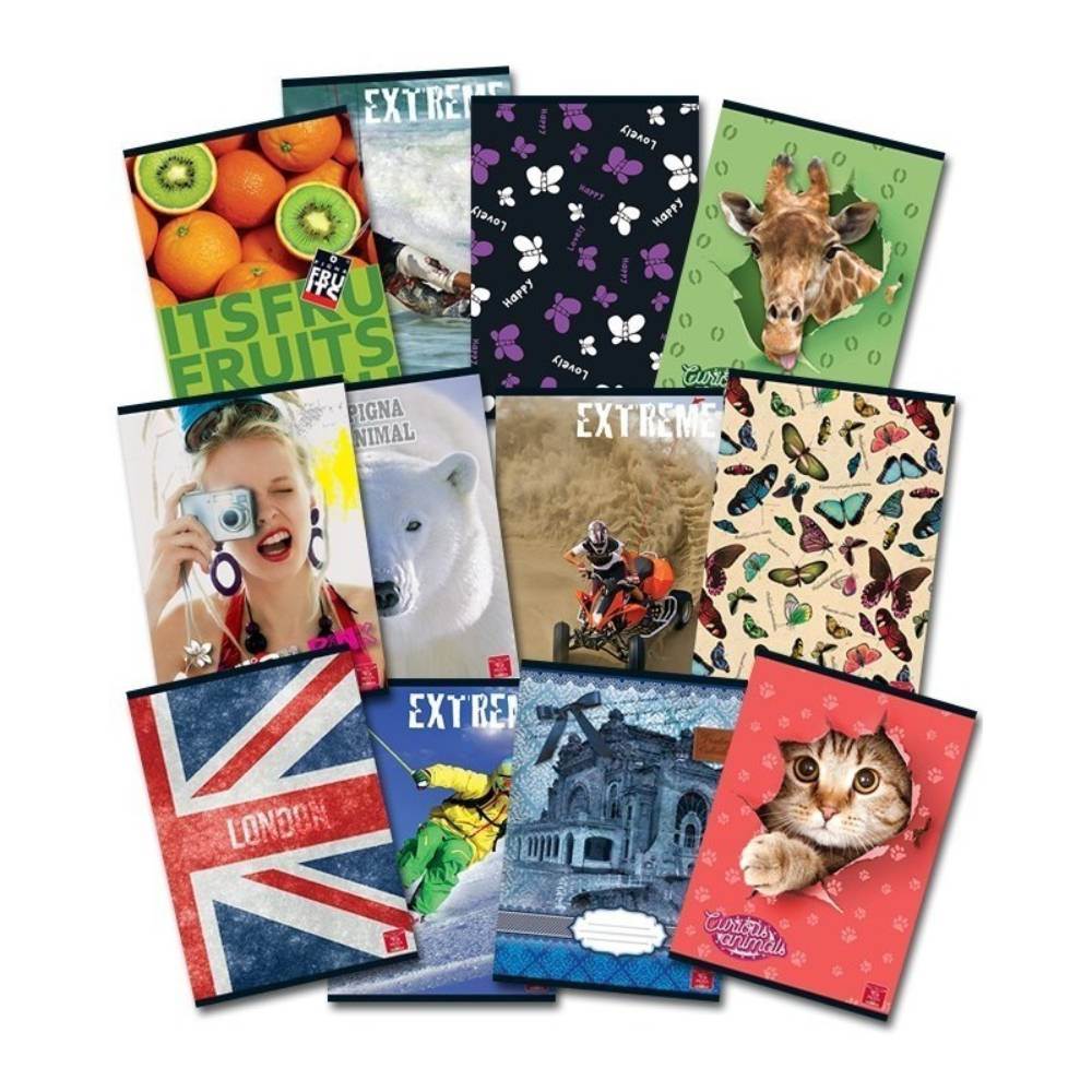 vertical file holders Caiet a5 48 file hartie alba dictando capsat coperta lucioasa pigna