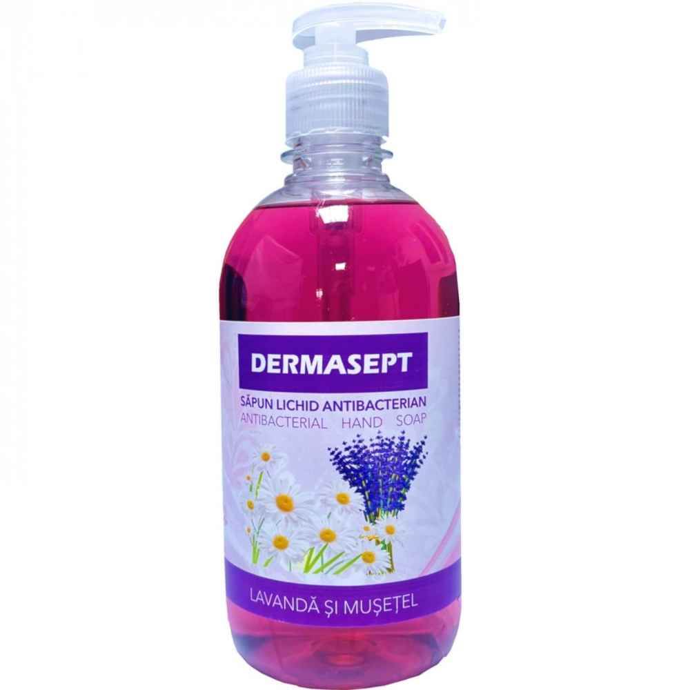 Liquid Hand Soap Dermasept sapun lichid antibacterian pet 500 ml cu pompita