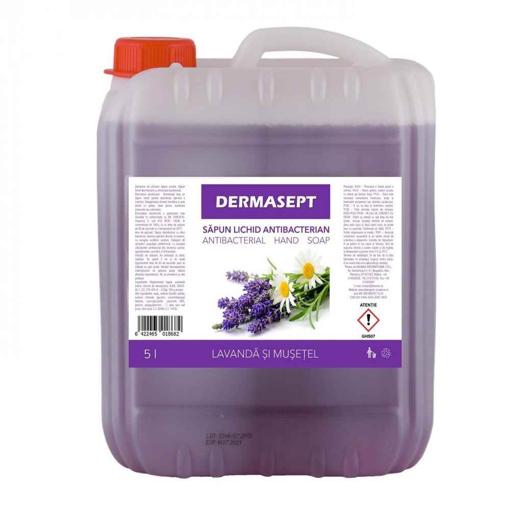 Liquid Hand Soap Sapun lichid antibacterial 5 l ekomax dermasept