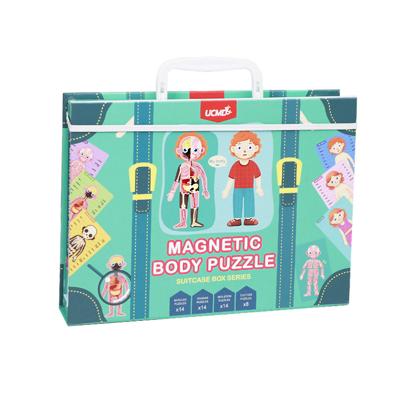 Art & Drawing Toys Ciclul vietii joc magnetic