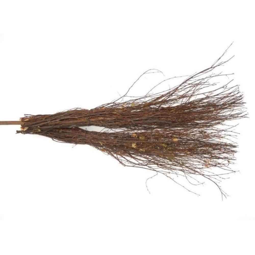 coada mop vileda Matura nuiele cu coada