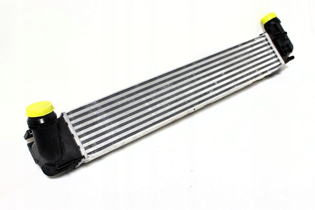 INTERCOOLER INTERCOOLER DUSTER 2010 2013 GUA 40707GUA GU...