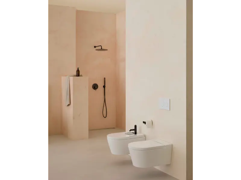 Bideu Roca A357525640, Inspira Round, montaj suspendat, preaplin, util