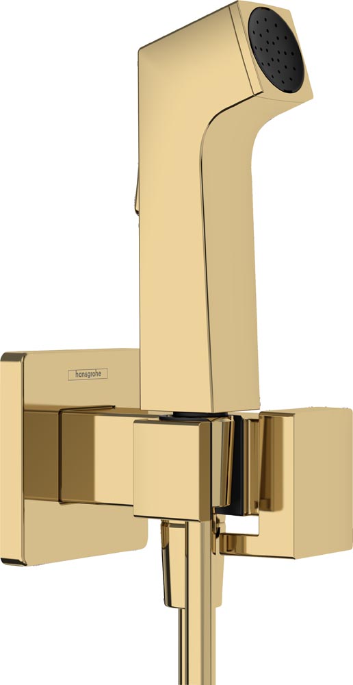 Hansgrohe Dus igienic hansgrohe bidette e, 1 functie, suport, furtun, necesita valva, lucios, auriu, 29233990