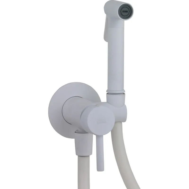 Paffoni Set dus igienic paffoni bidet, pe perete, valva, furtun, 1 functie, mat, alb, zdup110bo