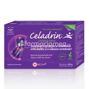 Suplimente articulații - Celadrin extract forte 500mg x 60cps, farmaciamea.ro