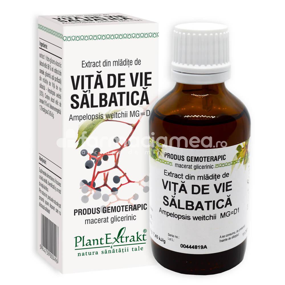 Gemoterapice unitare - Extract mladite vita de vie salbatica, 50 ml, PlantExtrakt, farmaciamea.ro