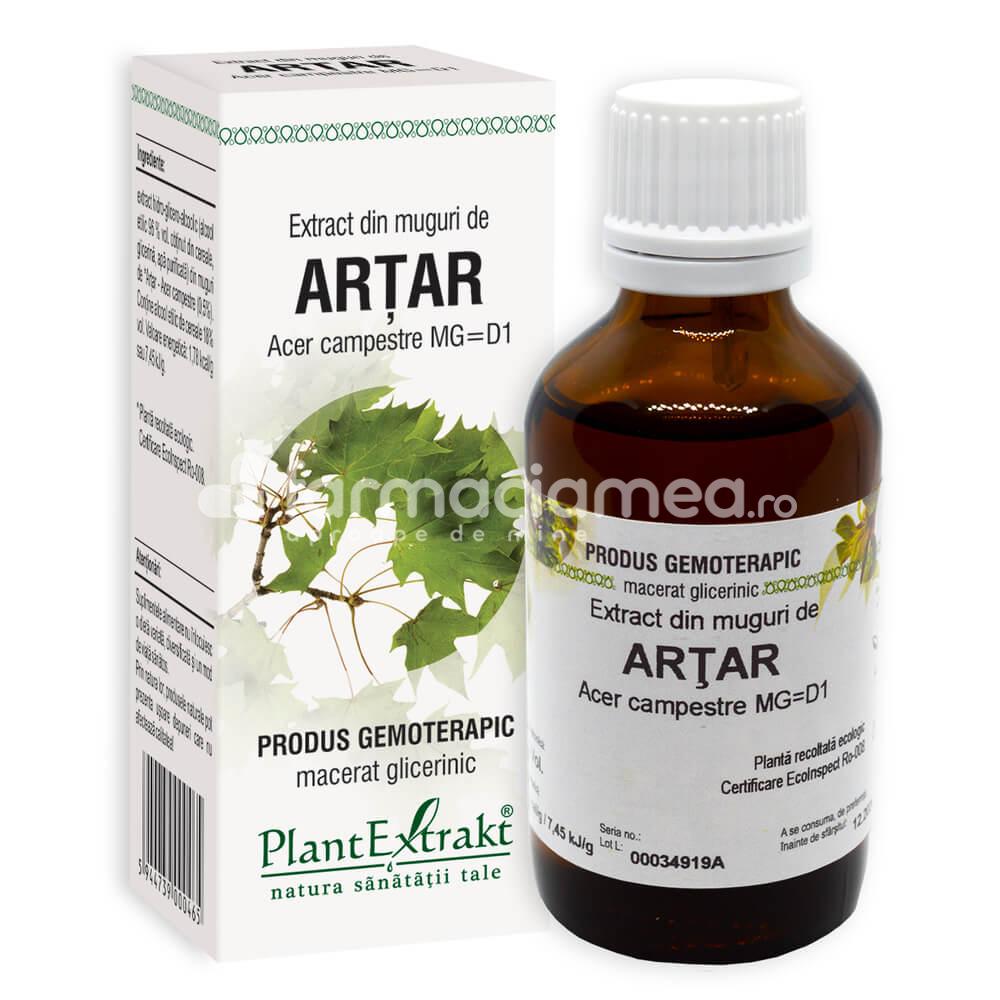 Gemoterapice unitare - Extract muguri artar, 50 ml, PlantExtrakt, farmaciamea.ro