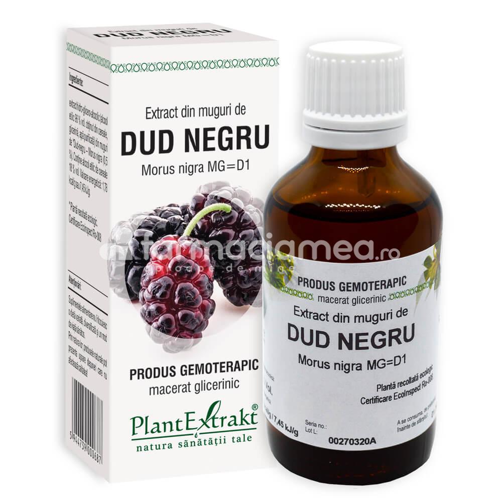 Gemoterapice unitare - Extract muguri dud negru, 50 ml, PlantExtrakt, farmaciamea.ro