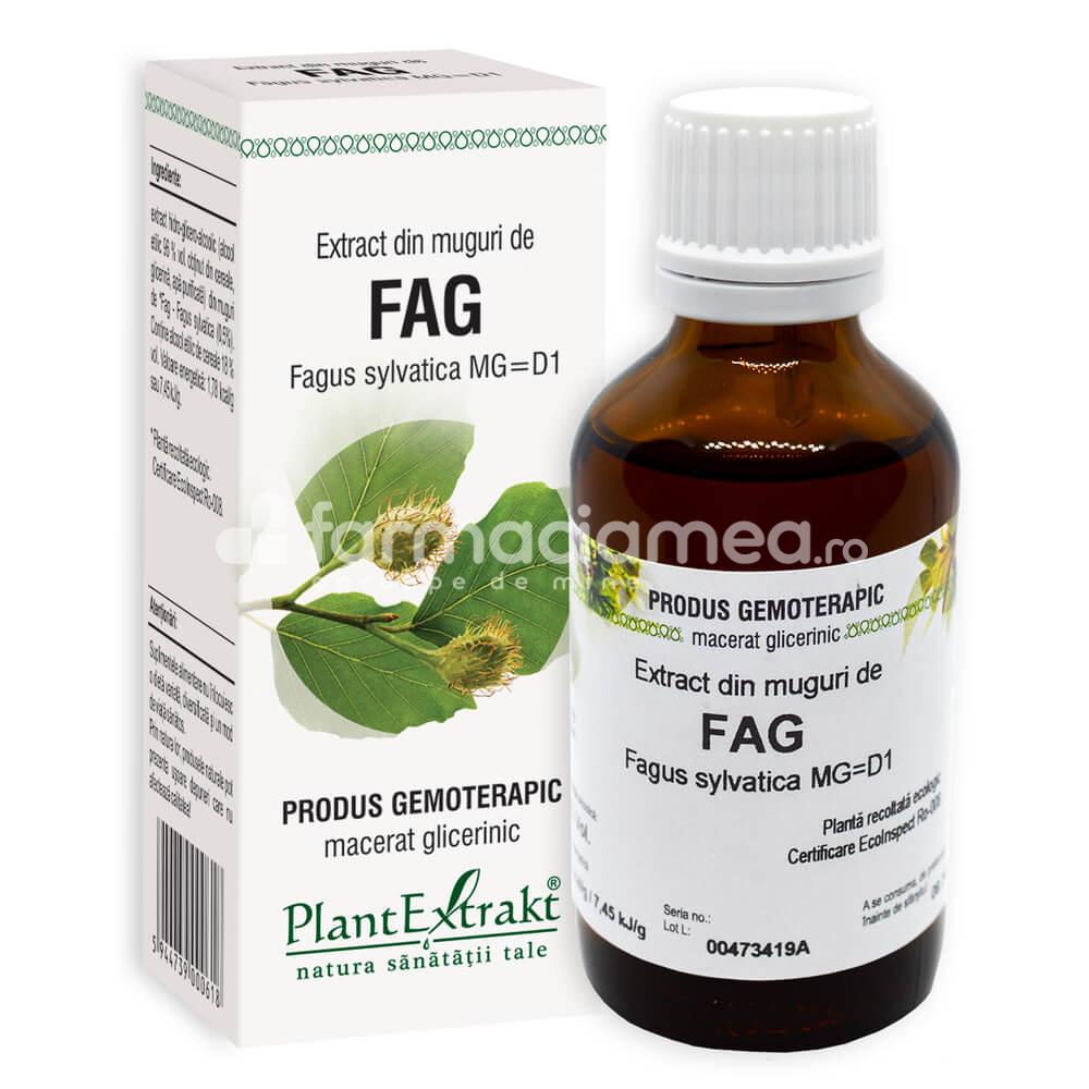 Gemoterapice unitare - Extract muguri fag, 50 ml, PlantExtrakt, farmaciamea.ro
