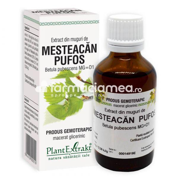 Gemoterapice unitare - Extract muguri mesteacan pufos, 50ml, PlantExtrakt, farmaciamea.ro