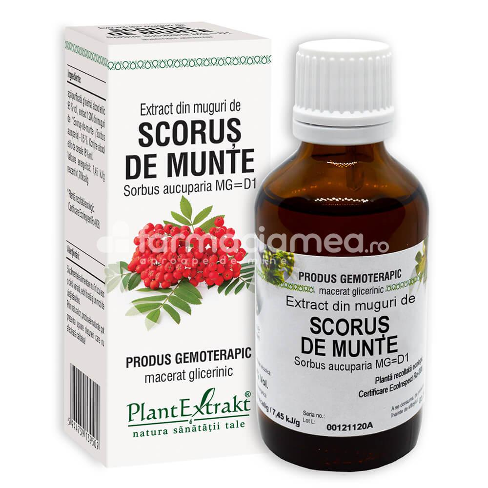 Gemoterapice unitare - Extract muguri scorus, 50 ml, PlantExtrakt, farmaciamea.ro