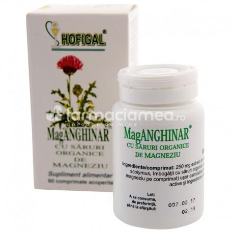 Terapie biliară și hepatică - Mag Anghinar, recomandat pentru mentinerea sanatatii ficatului si a vezicii biliare,  60 comprimate, Hofigal, farmaciamea.ro