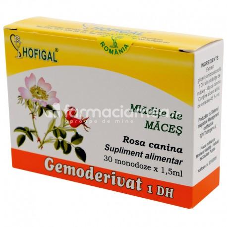 Imunitate - Mladite de maces Gemoderivat, 30 de monodoze, Hofigal, farmaciamea.ro