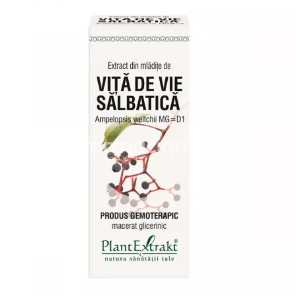 Gemoterapice unitare - Extract mladite de Vita de Vie Salbatica, 50 ml, PlantExtrakt, farmaciamea.ro