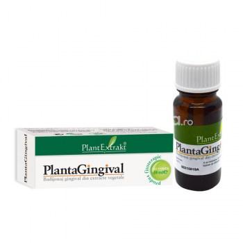 Fitoterapice - Plantagingival, 10 ml, PlantExtrakt, farmaciamea.ro