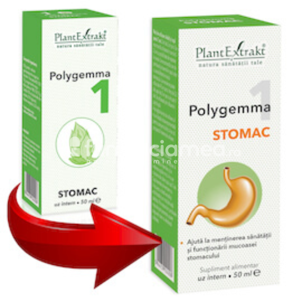 Gemoterapice complexe - Polygemma 1 Stomac, 50 ml, PlantExtrakt, farmaciamea.ro