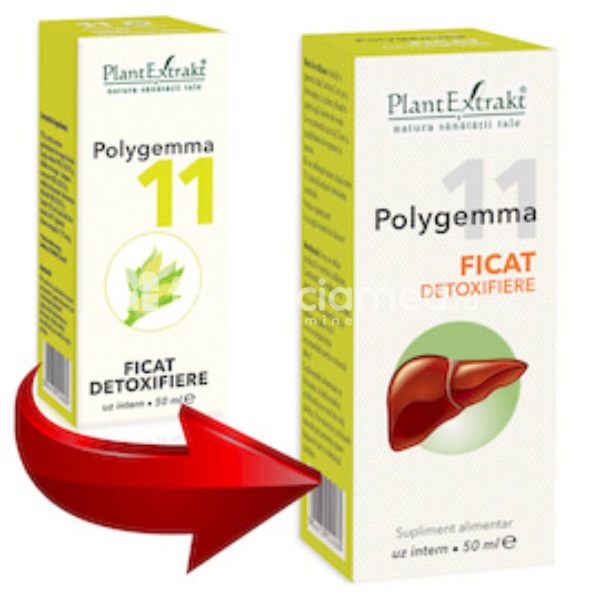 Gemoterapice complexe - Polygemma 11 Ficat, 50 ml, PlantExtrakt, farmaciamea.ro