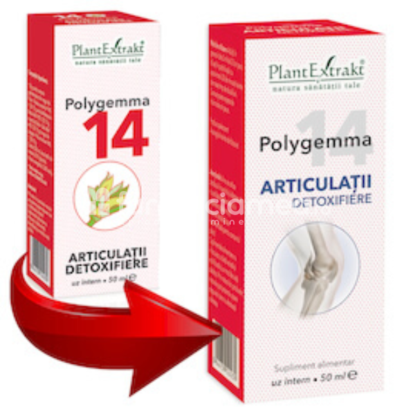 Gemoterapice complexe - Polygemma 14 Articulatii detoxifiere, 50 ml, PlantExtrakt, farmaciamea.ro
