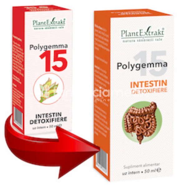 Gemoterapice complexe - Polygemma 15 Intestin detoxifiere, 50 ml, PlantExtrakt, farmaciamea.ro