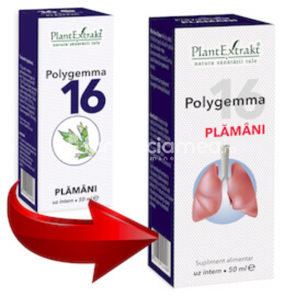 Gemoterapice complexe - Polygemma 16 Plamani, 50 ml, PlantExtrakt, farmaciamea.ro