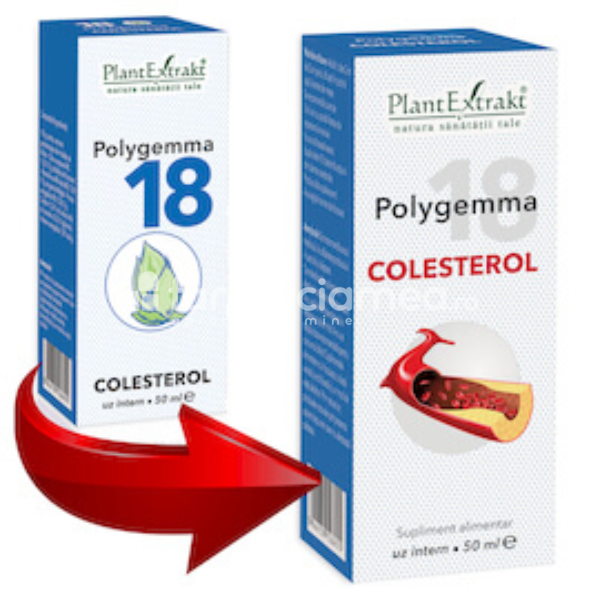 Gemoterapice complexe - Polygemma 18 Colesterol, 50 ml, PlantExtrakt, farmaciamea.ro