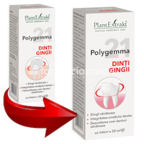 Gemoterapice complexe - Polygemma 21 Dinti si Gingii, 50 ml, PlantExtrakt, farmaciamea.ro