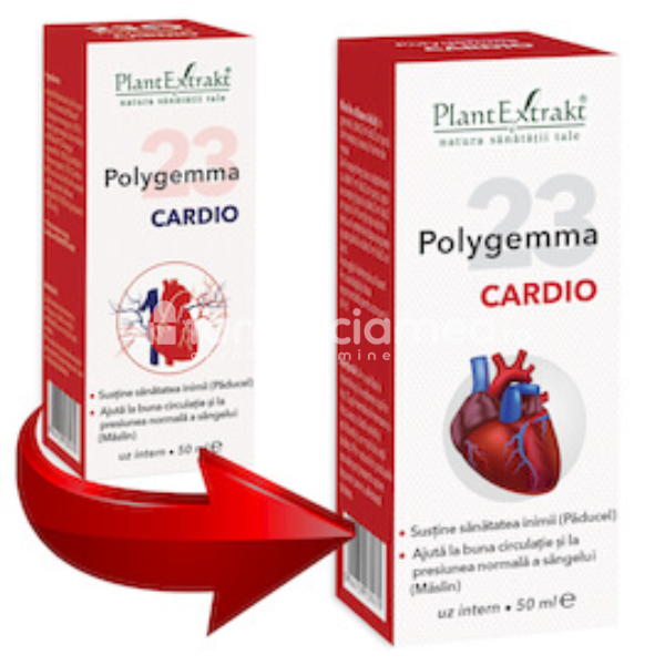 Gemoterapice complexe - Polygemma 23 Cardio, 50ml PlantExtrakt, farmaciamea.ro