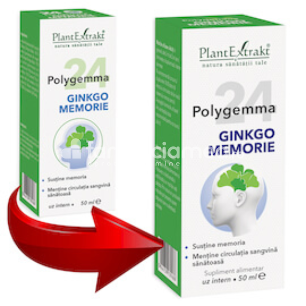Gemoterapice complexe - Polygemma 24 memorie, 50ml, PlantExtrakt, farmaciamea.ro