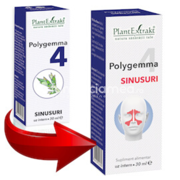 Gemoterapice complexe - Polygemma 4 Sinusuri, 30 ml, PlantExtrakt, farmaciamea.ro