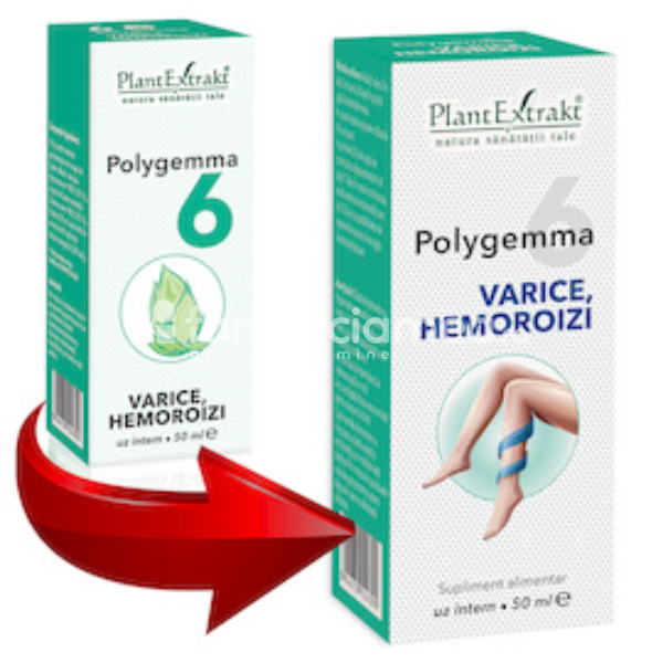 Gemoterapice complexe - Polygemma 6 Varice si Hemoroizi, 50 ml, PlantExtrakt, farmaciamea.ro