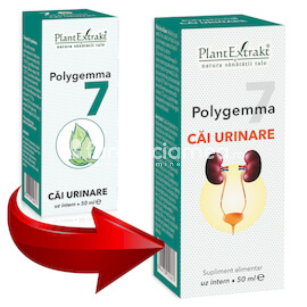 Gemoterapice complexe - Polygemma 7 Cai Urinare, 50 ml, PlantExtrakt, farmaciamea.ro