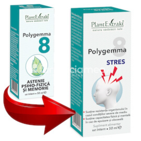 Gemoterapice complexe - Polygemma 8 Astenie si Memorie, 50 ml, PlantExtrakt, farmaciamea.ro