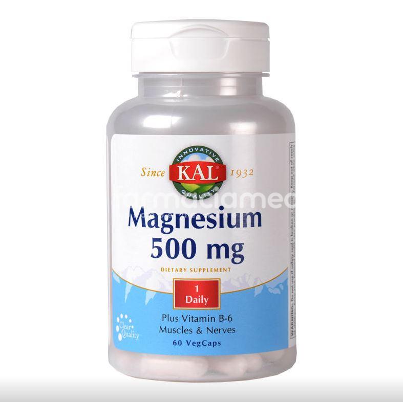 Vitamine și minerale domni - Magnesium 500 mg, 60 capsule, Secom, farmaciamea.ro