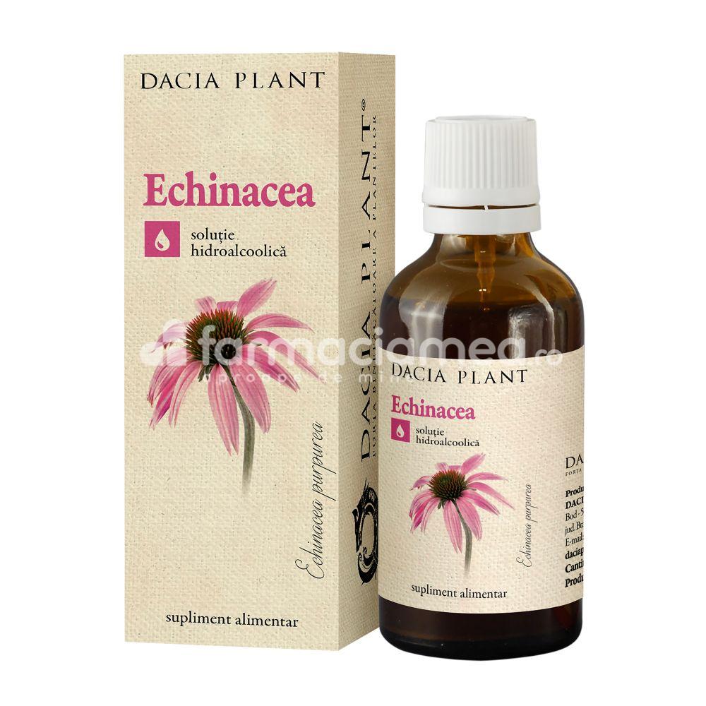 Suplimente naturiste - Tinctura de echinacea, sustine si imbunatateste imunitatea, 50ml, Dacia Plant, farmaciamea.ro